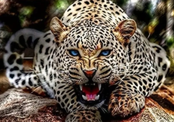 Diamond Painting Leopard